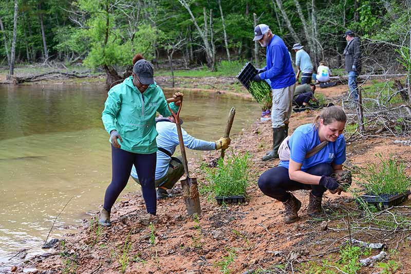 TVA's MyEsha Vail and Kathryn Phillips volunteered with other TVA team members, public volunteers and Georgia Department of Natural Resources staff to plant American water willow and buttonbush.