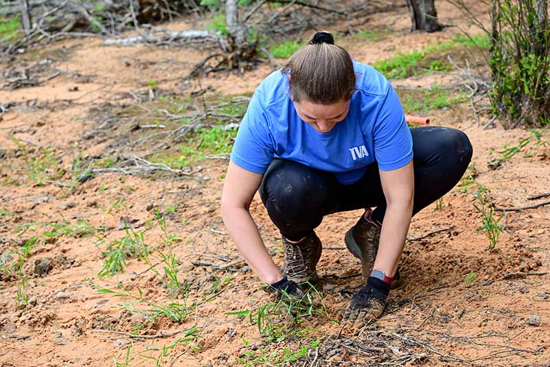 TVA volunteer Kathryn Phillips came from Chattanooga to help with the plantings at Chatuge.