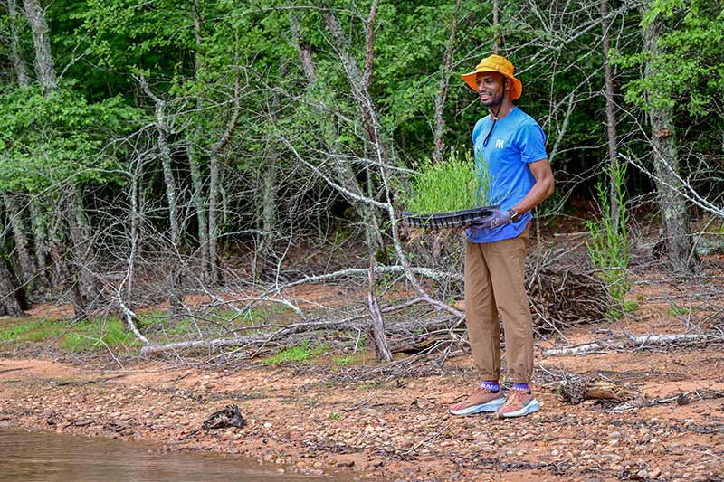 TVA volunteer Guerin Higgins with a flat of American water willow.