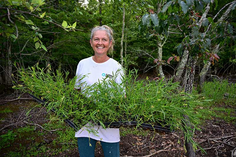 Volunteer Kelly Wills with plantings at Chatuge Reservoir.