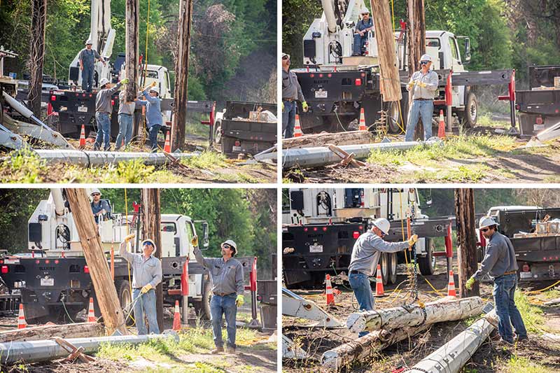 The crew safely and methodically removes a wood pole.