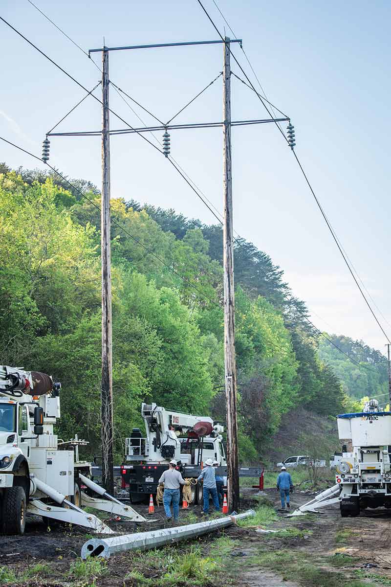 The crew sizes up a set of wood poles along a transmission right of way.