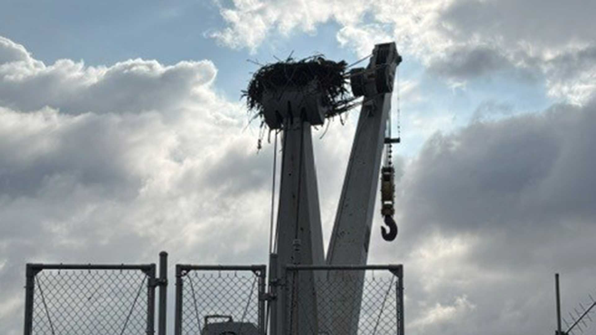 An osprey nest perched on the South Holston Dam crane and tower.