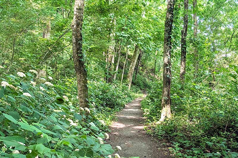 The Rockpile Trail at the Muscle Shoals Reservation in Alabama was built by the CCC in the 1930s.