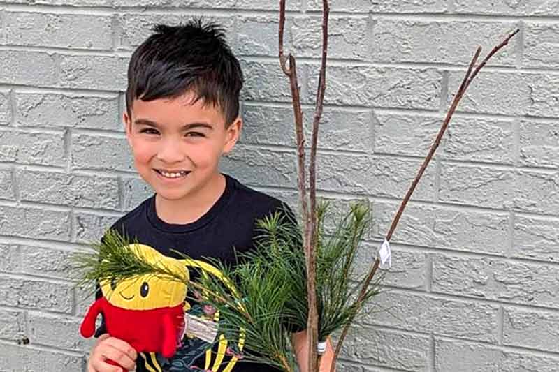 Child holding a seedling