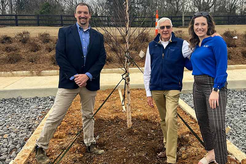 People standing next to newly planted tree