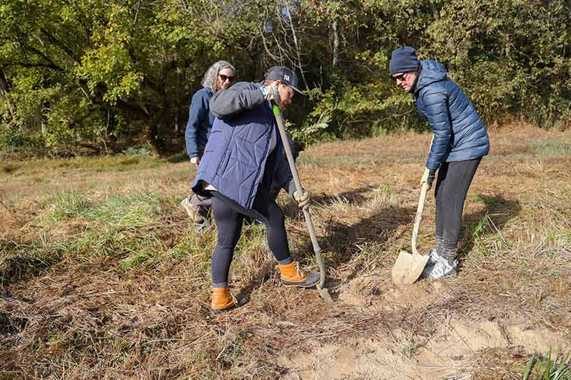 Two people dig hole to plant tree
