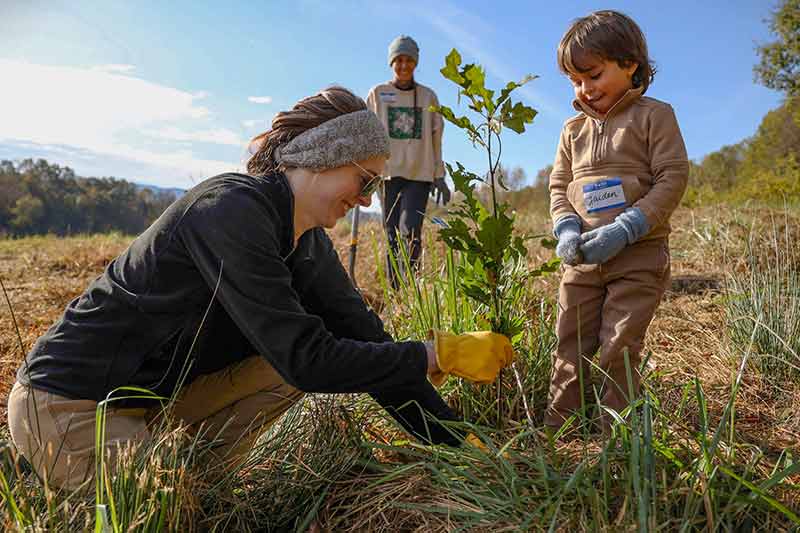 Woman plants tree while child looks on