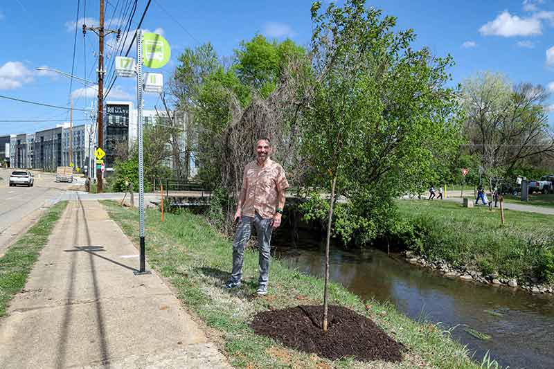 Volunteer by tree planted next to sidewalk and stream