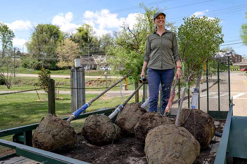 Woman in trailer with ball-root trees to be planted