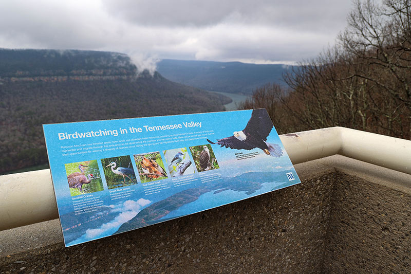 Sign at Raccoon Mountain Visitor Center provides information about birds