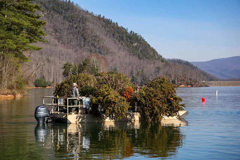 Boat loaded down with trees to be submerged in Watauga Reservoir