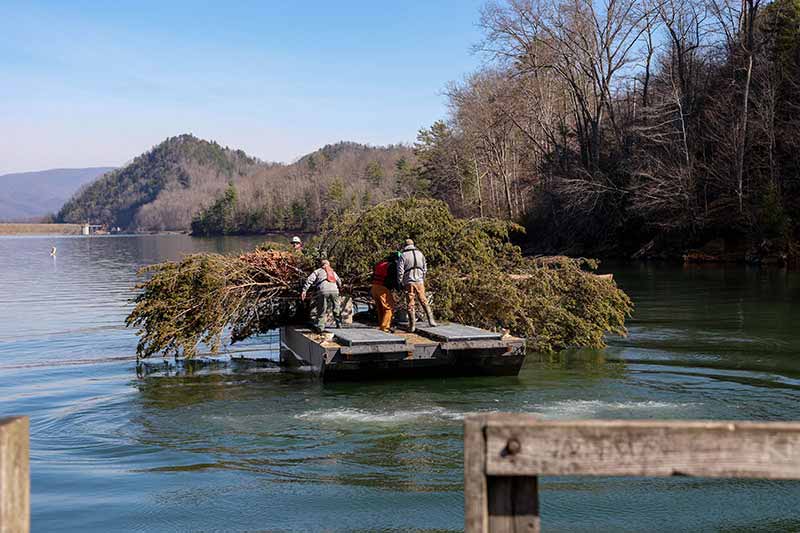 Boat loaded down with trees to be submerged in Watauga Reservoir