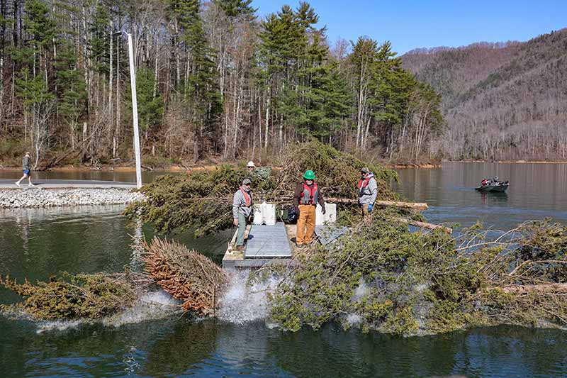 Boat loaded down with trees to be submerged in Watauga Reservoir