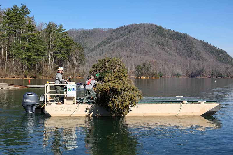 Boat loaded down with trees to be submerged in Watauga Reservoir