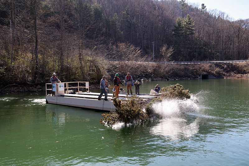 Trees pushed off boat into reservoir