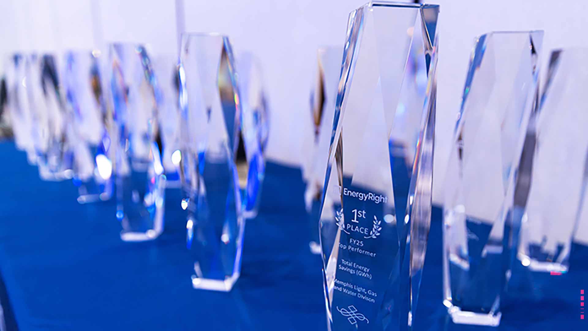 Close up view of EnergyRight Top Performer Awards