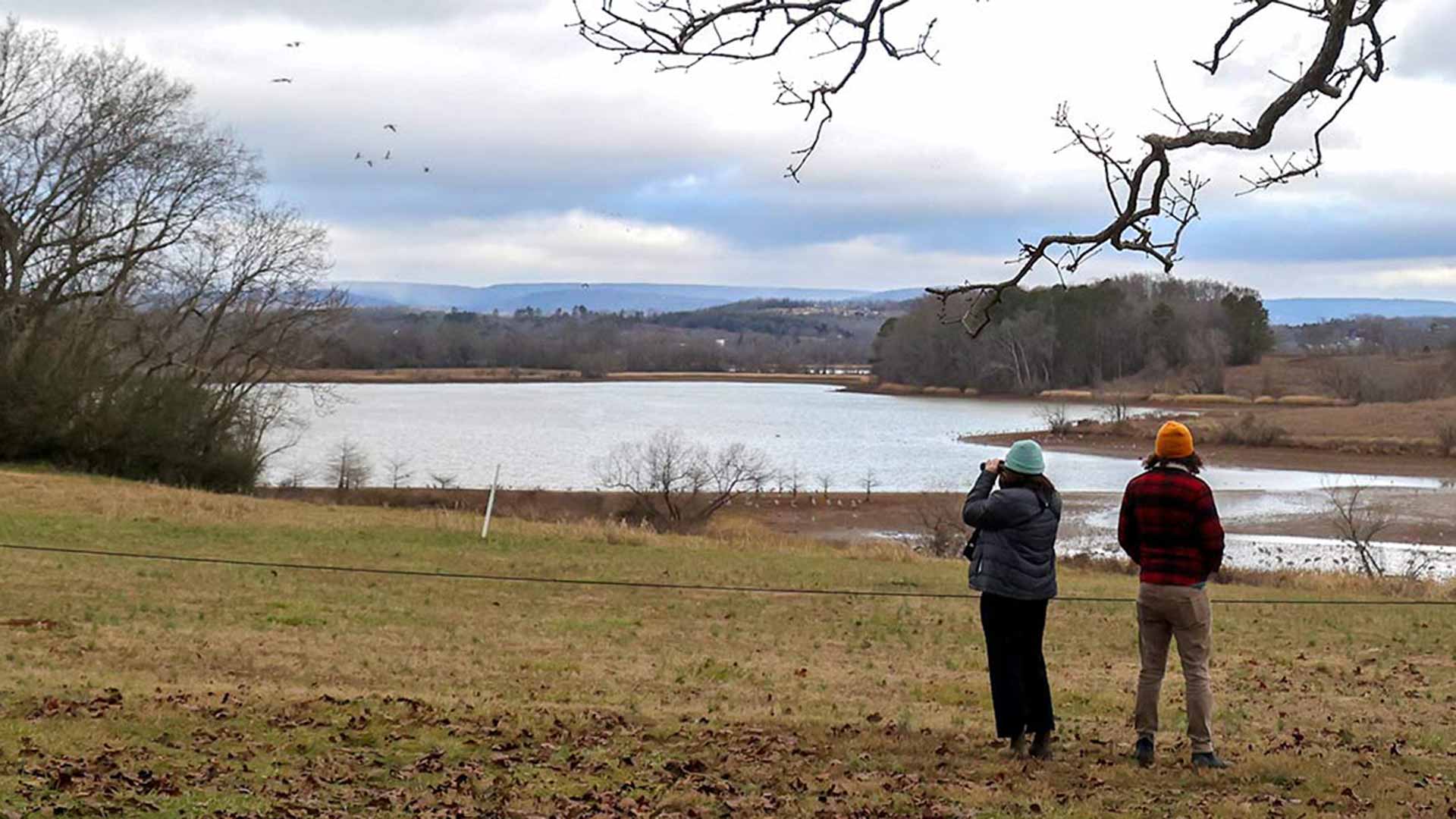 Birdwatchers view sandhill cranes at Hiwassee Wildlife Refuge