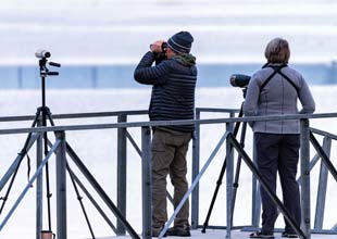 Birdwatchers peer through binoculars to glimpse birds near Chickamauga Dam