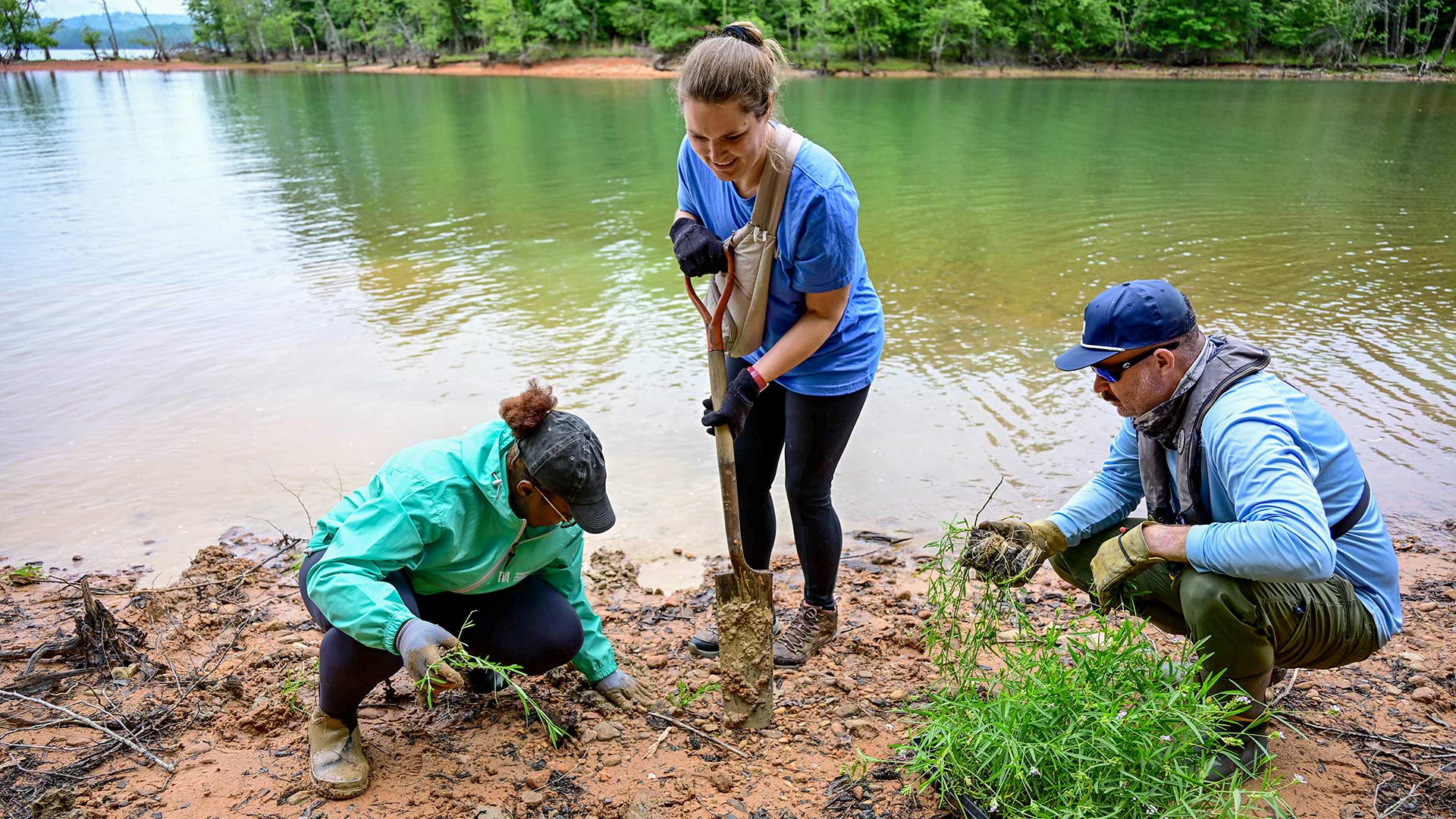 TVA's MyEsha Vail and Kathryn Phillips volunteered with other TVA team members, public volunteers and Georgia Department of Natural Resources staff to plant American water willow and buttonbush.