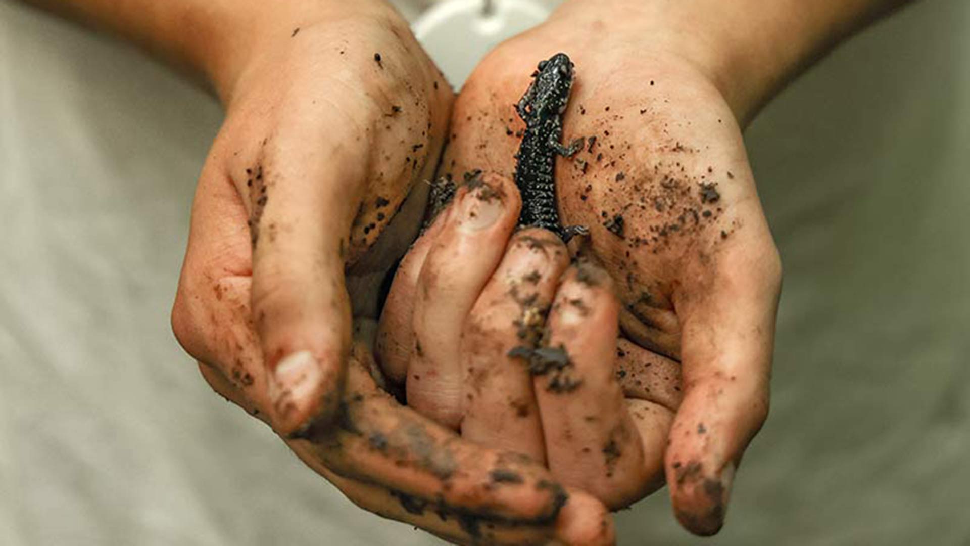 Colin Walpert holds a salamander he found.
