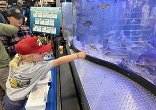 girl pointing at fish in mobile aquarium