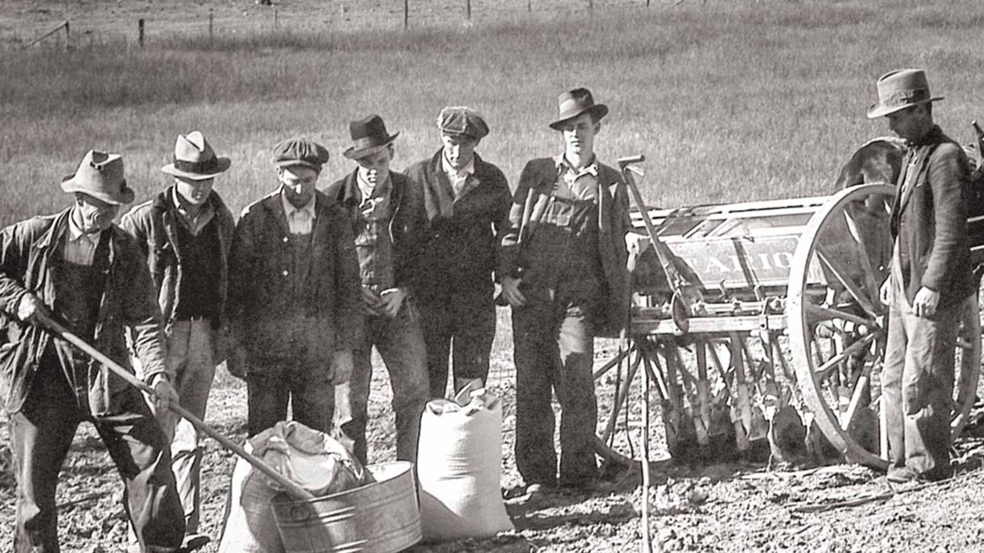 Farmers in field