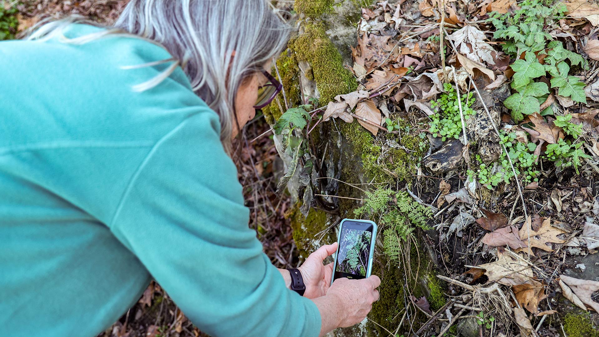 Woman using smartphone to photograph plant species
