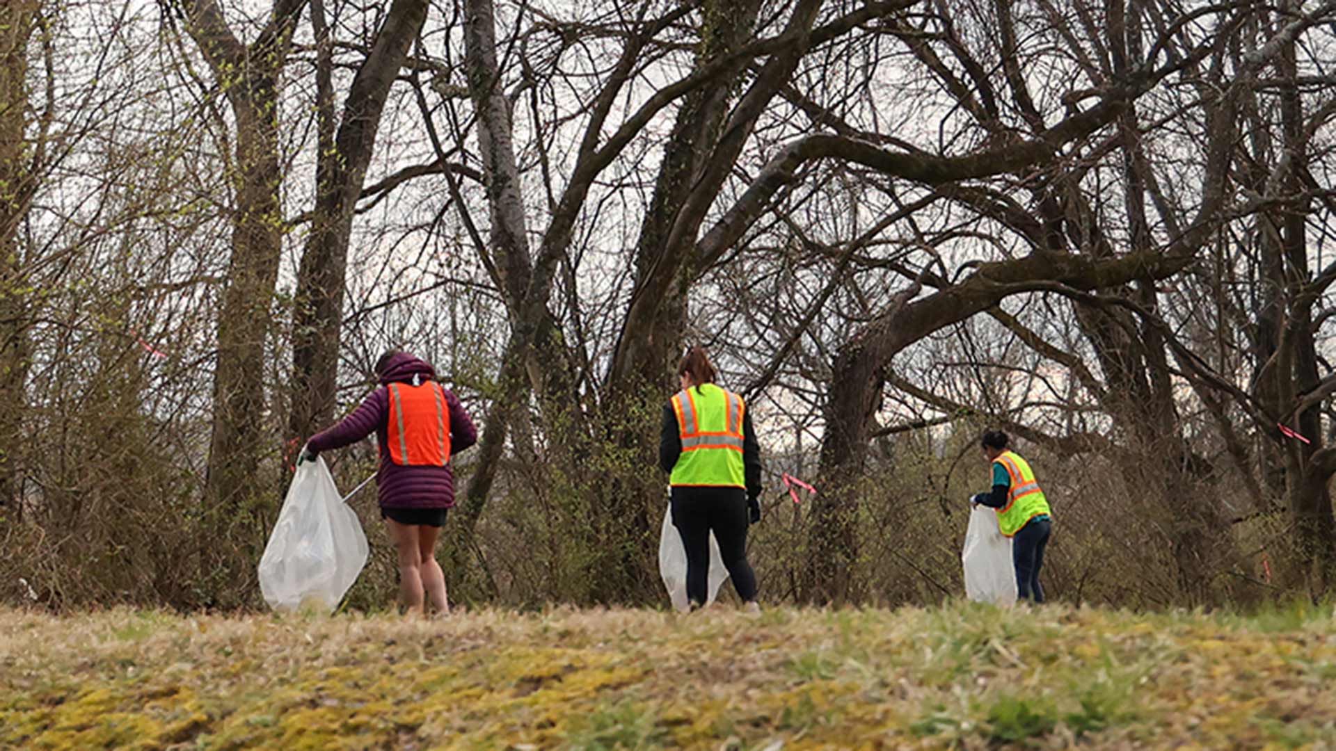 Volunteers collect trash from recreation areas and trails