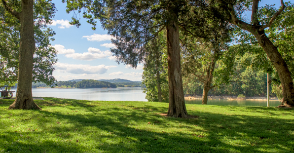 Land and Water Thumb