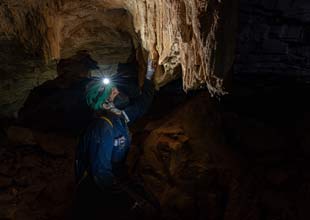 Liz Hamrick searches cave crevices for bats