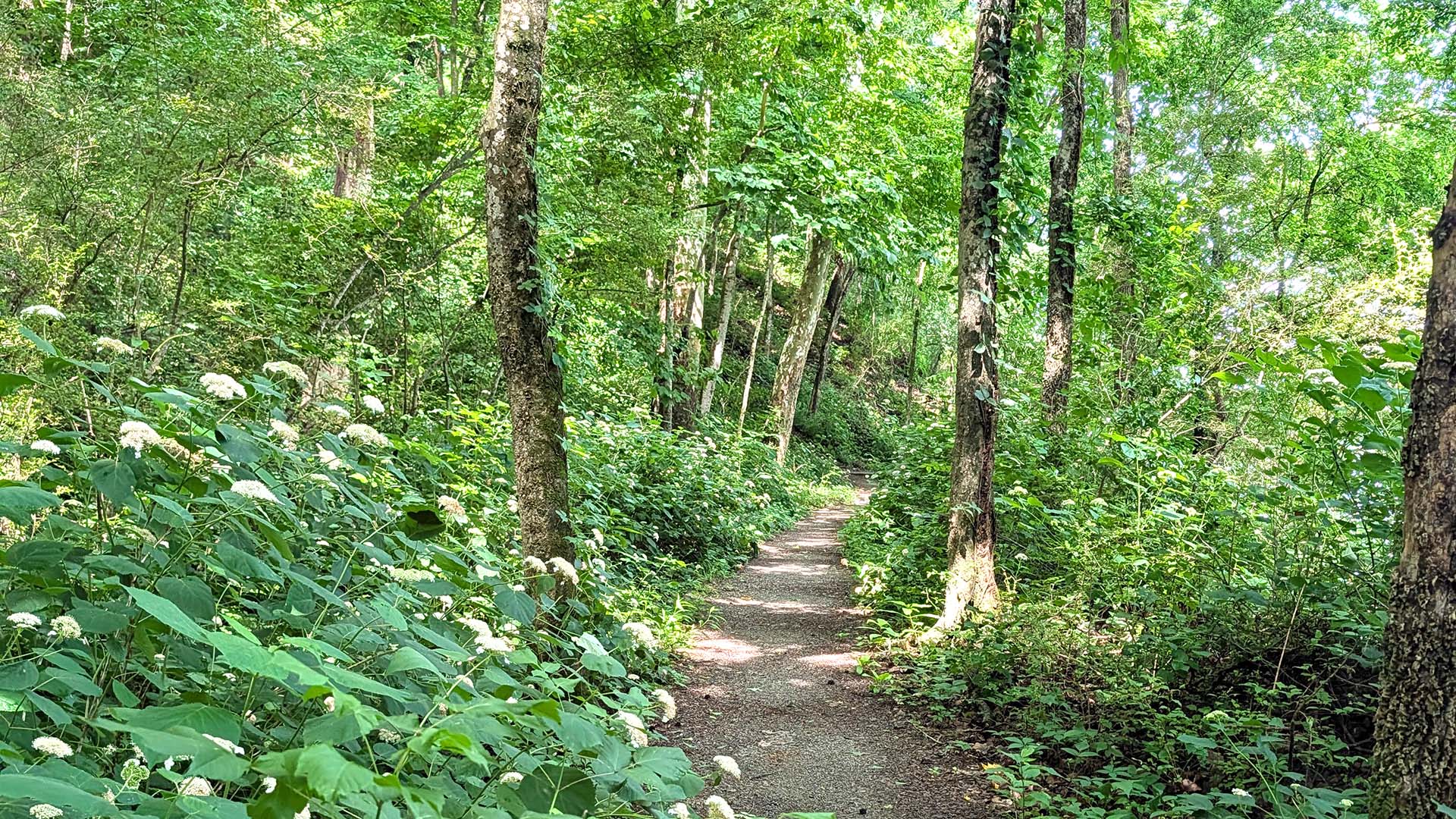 The Rockpile Trail in Muscle Shoals, Alabama, is among the 190 miles of trails TVA maintains