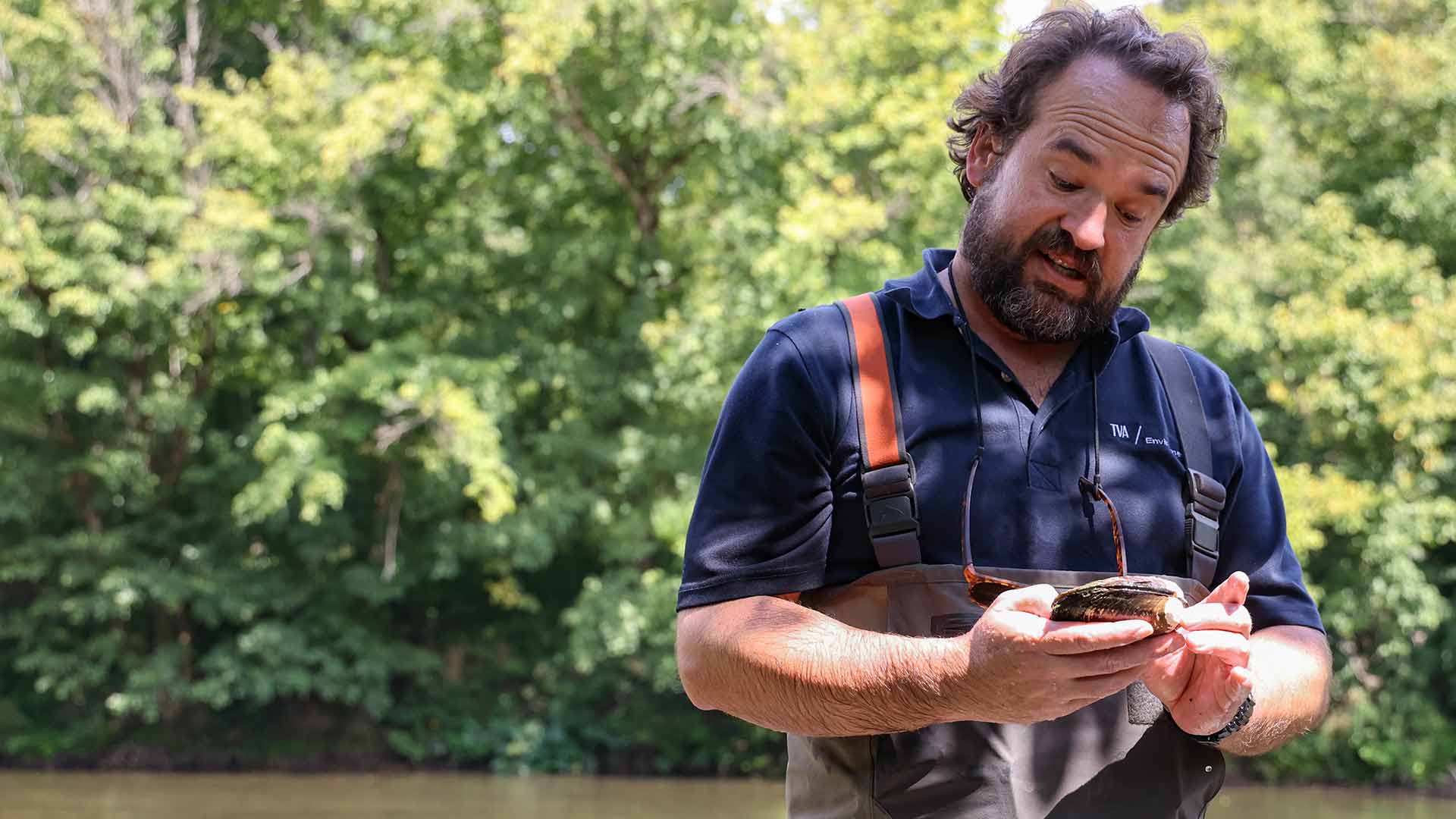 Man holding Appalachian rockshell mussel