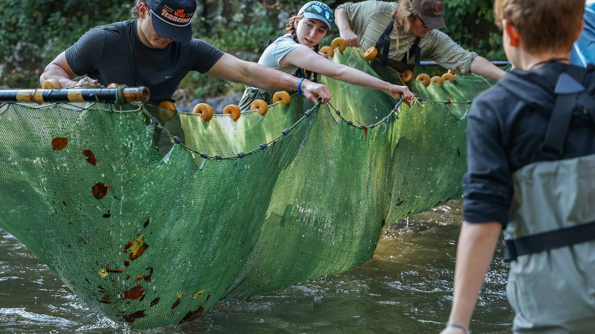 College students hold seine nets to catch fish on the Pigeon River