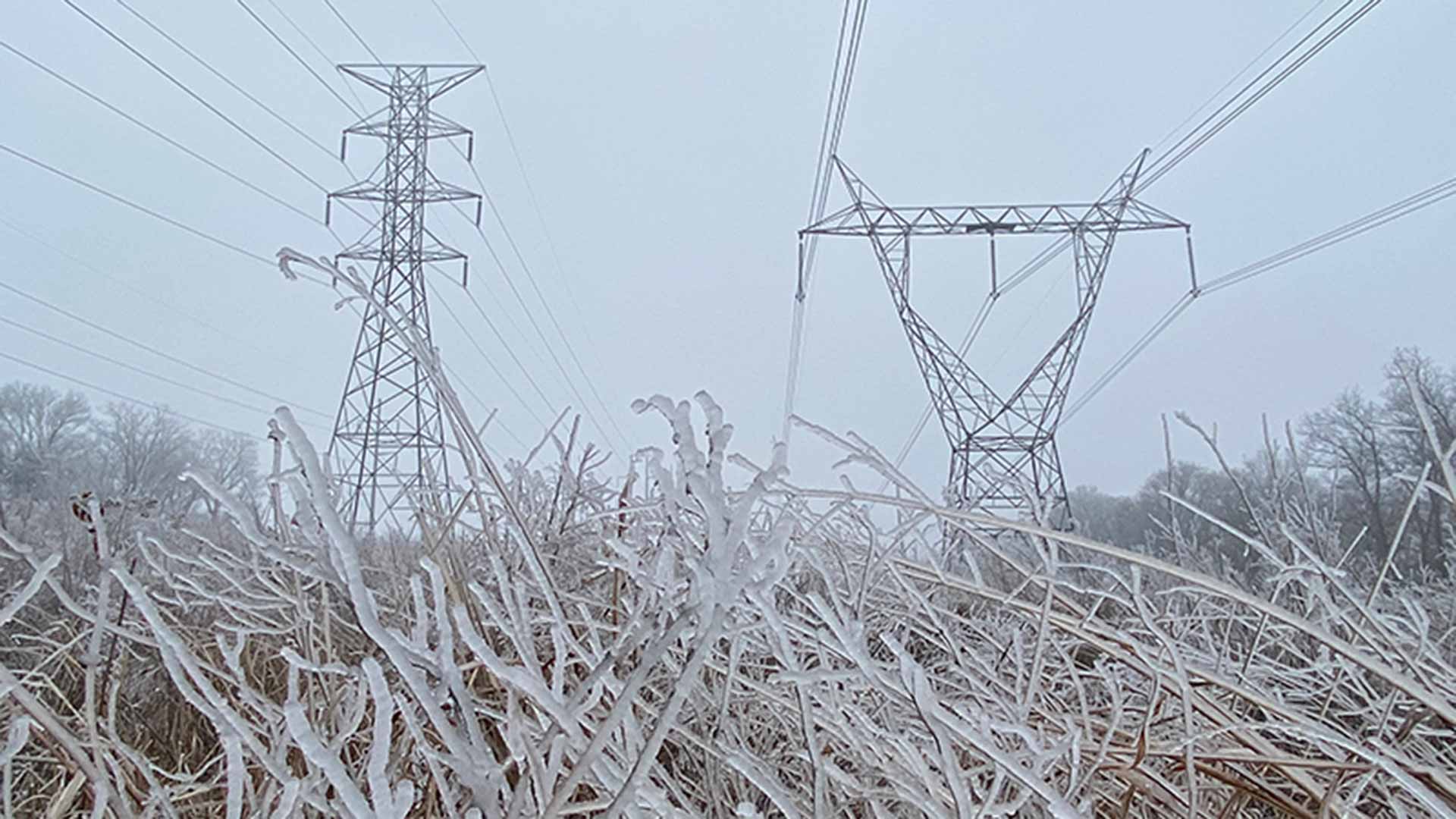 Grass covered in ice with powerlines in background