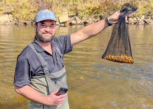 A TVA specialist stands in the river while holding up a bag of mussels