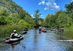 TVA specialists paddle kayaks along a section of the Hiwassee River known as Cutoff Reach, where they discovered an imperiled plant and rare mussels