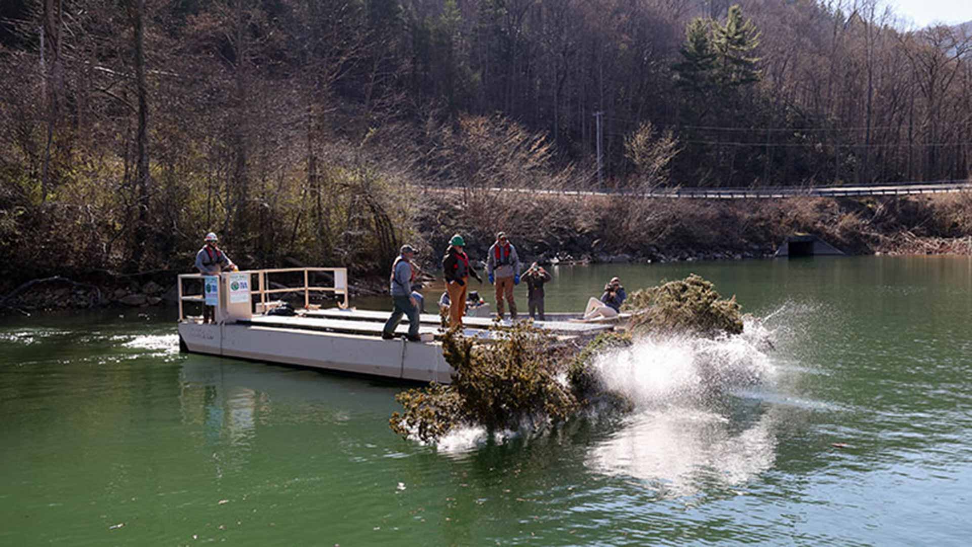 TVA and TWRA partnered to help restore fish habitat in Watauga Reservoir after Hurricane Helene