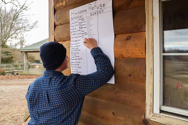 Tracking bird species viewed during festival