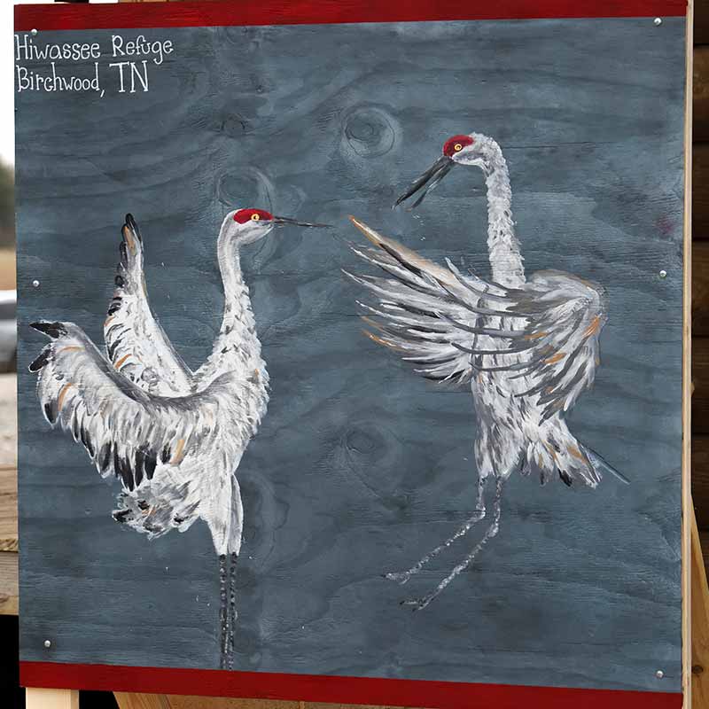 Sandhill cranes painting