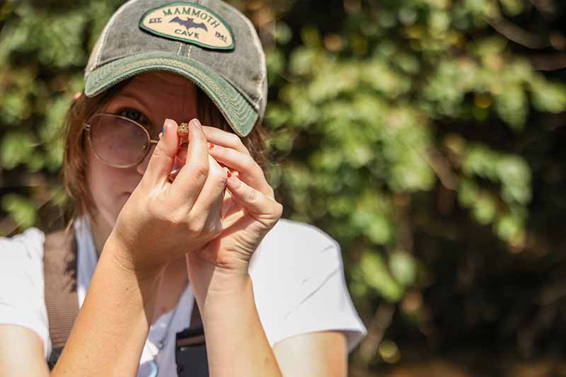 Student looking closely at macroinvertebrate