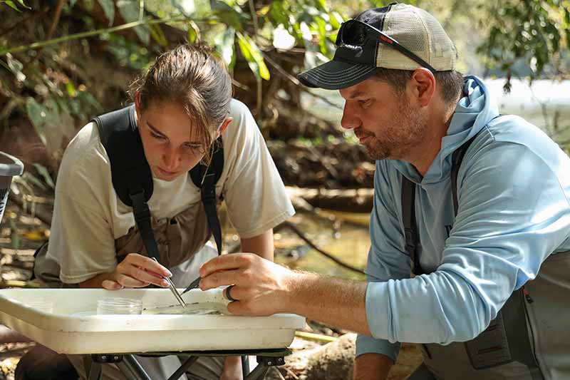 Justin Wolbert and Belle Jenkins sort aquatic wildlife samples