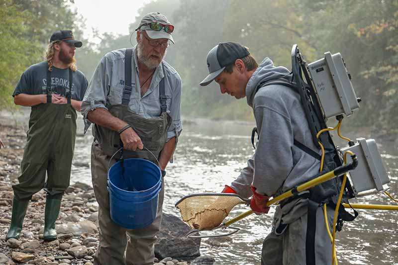 Collecting fish samples