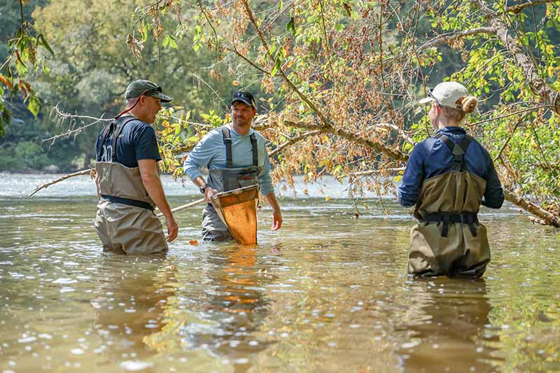 Collecting macroinvertebrates