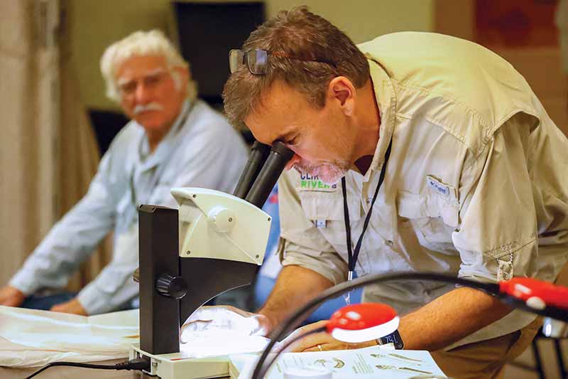 Bill Toth looks through microscope