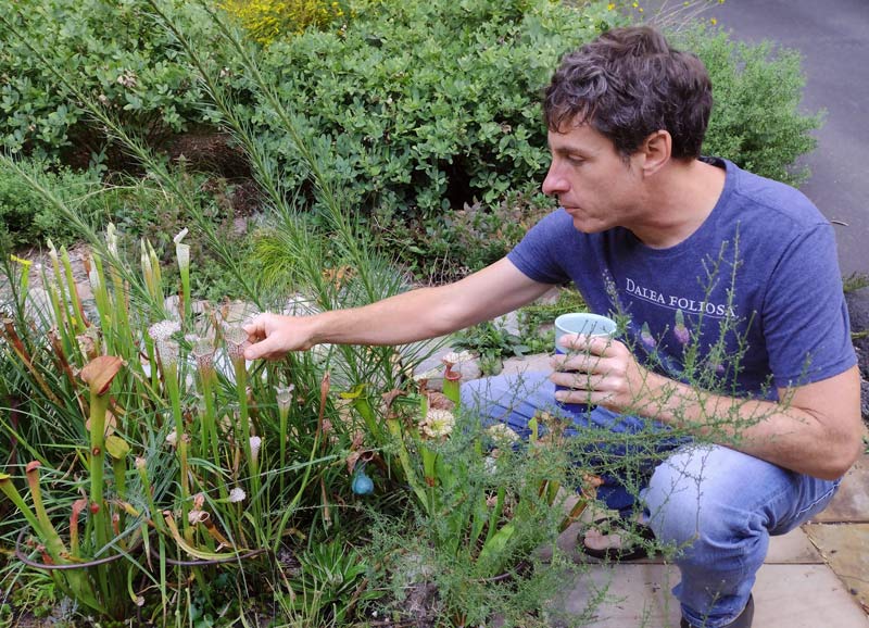Tennessee Valley Authority Biodiversity Program coordinator Adam Dattilo looks at flowers outside his east Tennessee home