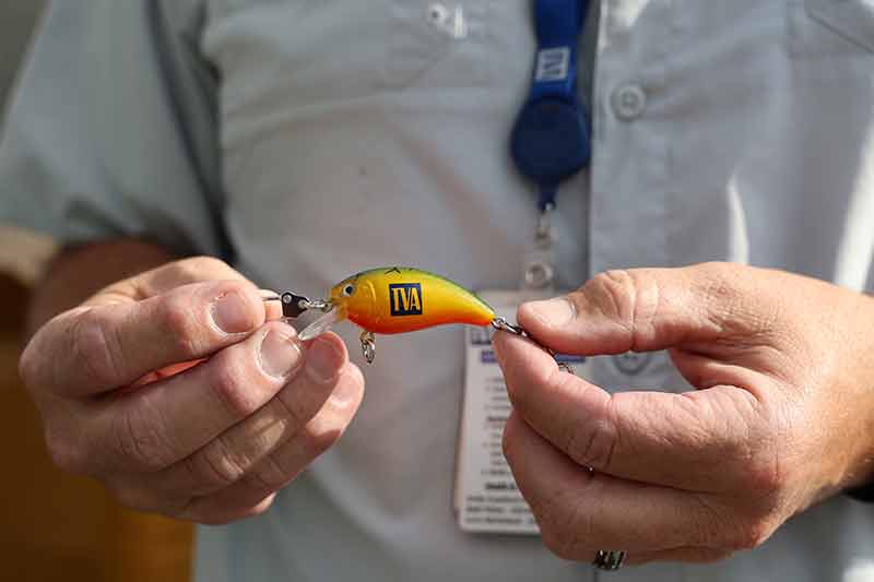 Fishing lure with TVA on the side.