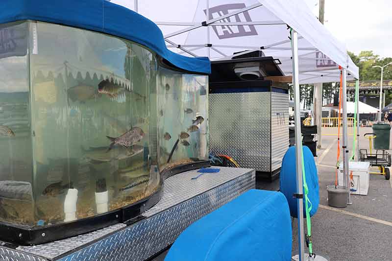 Fish tank with native species from Guntersville Reservoir