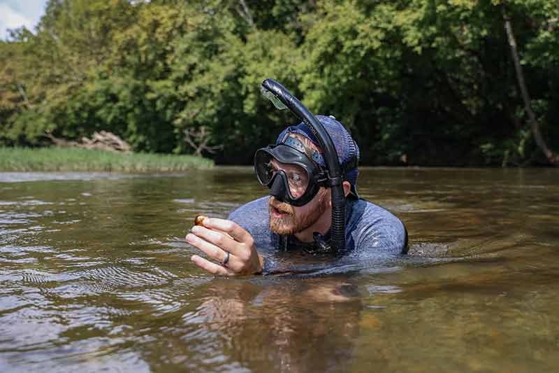 Man in snorkel gear holds mussel above water
