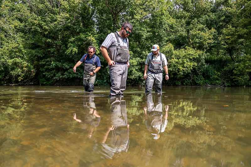 Group standing in stream looking into water